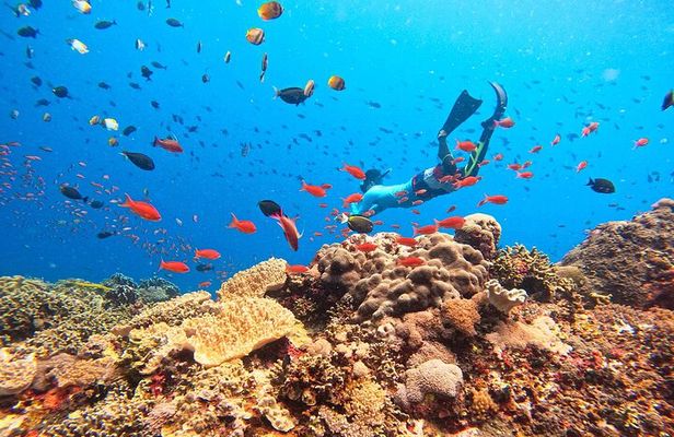 Swim With Manta Rays Snorkeling and Village Tour Lembongan