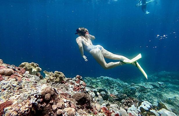 Swim With Manta Rays Lembongan Snorkeling and Day Tour