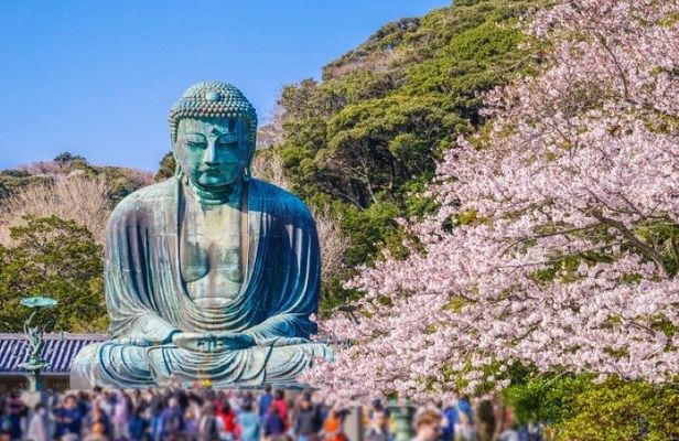 4-hour Private Tour of Kamakura with Government-Licensed Guide