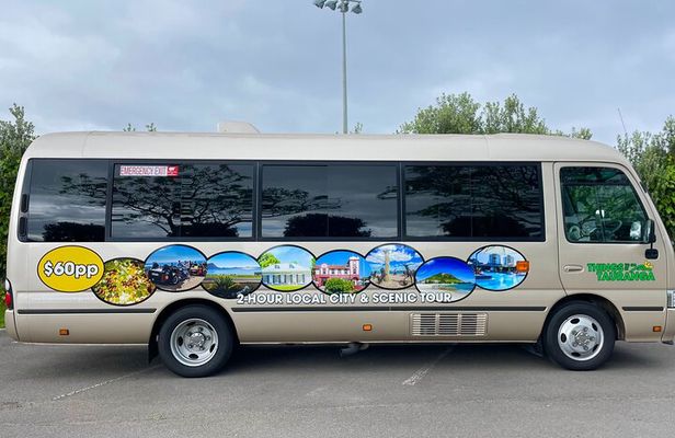 Tauranga City & Scenic Local 2-hour Tour (City Sightseeing)