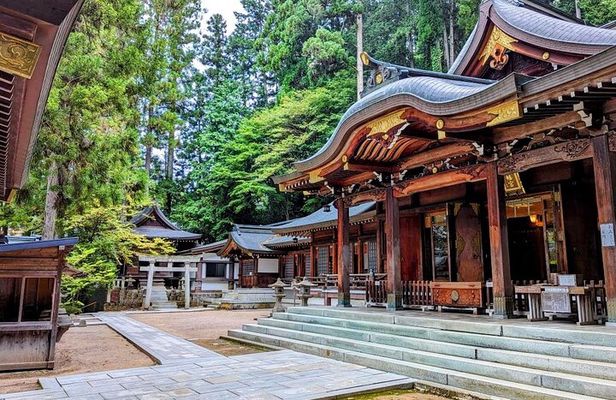 Full-Day Tour: Immerse in Takayama's History and Temples