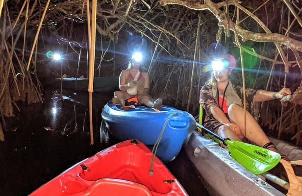 Guided Bioluminescence Night Kayaking Adventure in Belize