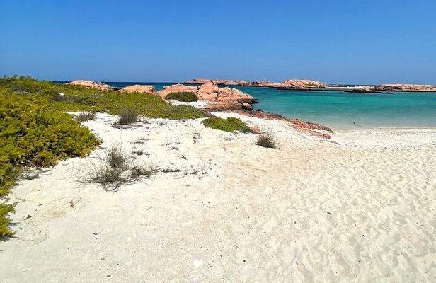 Full Day Camping in Daymaniat Island