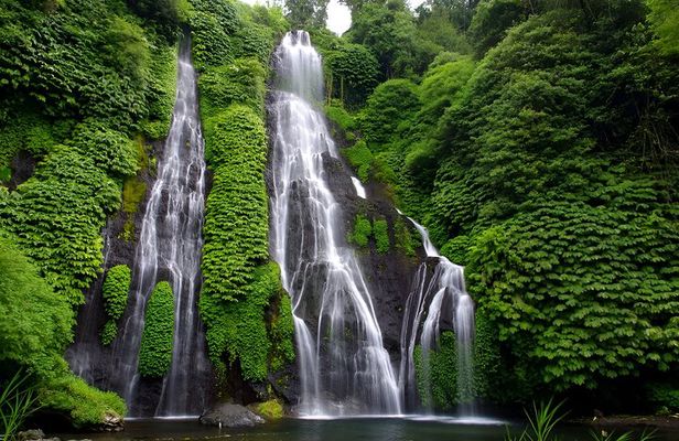 Bali Full-Day Tour: Exploring Instagrammable Place in North Bali