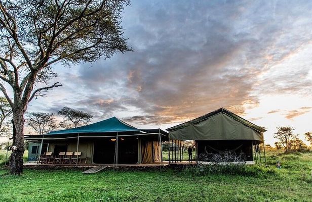 3 Days Safari Adventure in Tarangire and Ngorongoro Crater
