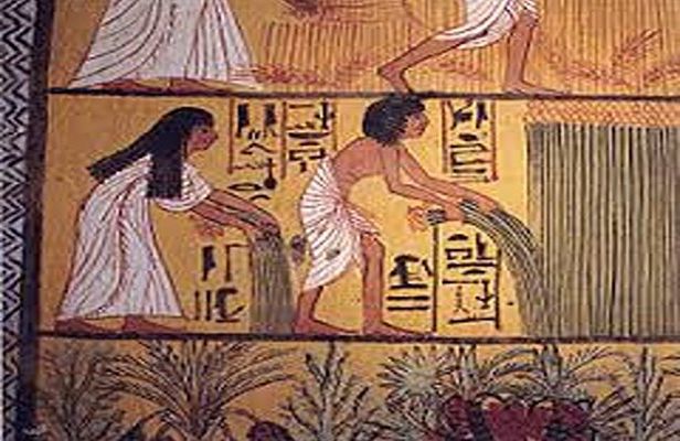 Luxor west bank private half day tour,Habu temple&Deir el Medina 