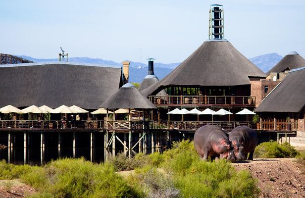 2-Day Buffelsdrift Game Lodge Safari with Cango Caves Shared Tour