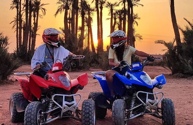 Marrakech: Quad Bike Tour in palm grove 