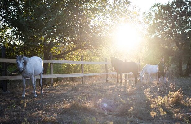 Morning Horseback Tour in Meteora with Monastery Ypapanti