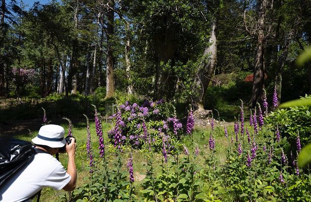 4 Hr Private Photography Tour from Kenmare – All Skill Levels
