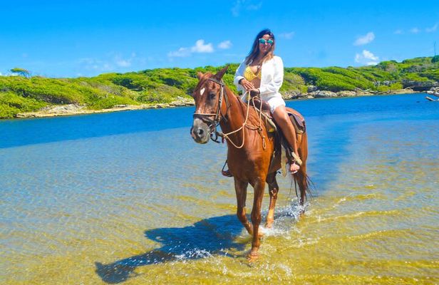 Horse back riding (Punta Cana/Bavaro)