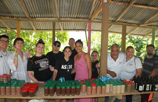 5 Tours of Jungle and Dominican Culture with Lunch