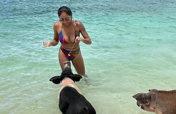 Luxury Catamaran Cruise: Sip, Sail, Snorkel, and Swim with Pigs!