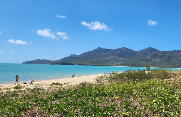Coastal Beach Adventures - Dingo Beach & Cape Gloucester