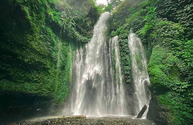 Waterfall Trip (Sendang Gile & Tiu Kelep Waterfall) North Lombok