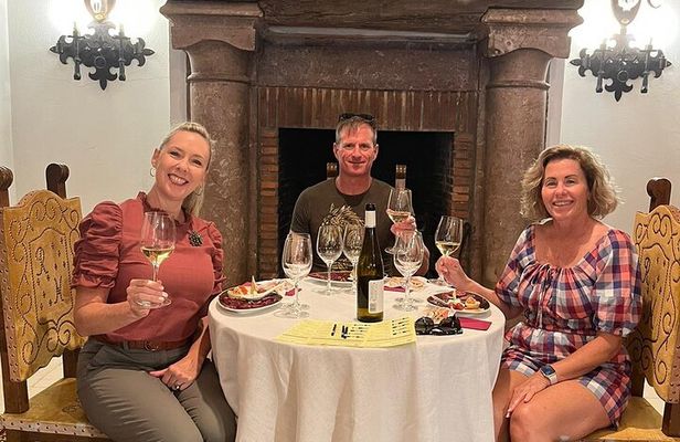 Private Winery and Lunch Experience an hour from Madrid