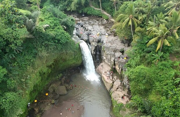 Full-Day Bali Tour to Visit The Best Places in Ubud