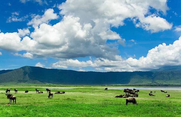 2-Day Safari to Tarangire National Park and Ngorongoro Crater