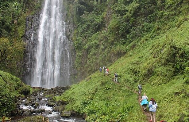 3 Days Tour to Tarangire, Ngorongoro and Materuni