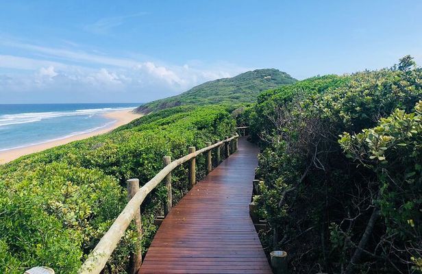 2 Day Tour in Maputo National Park(Maputo Special Reserve)