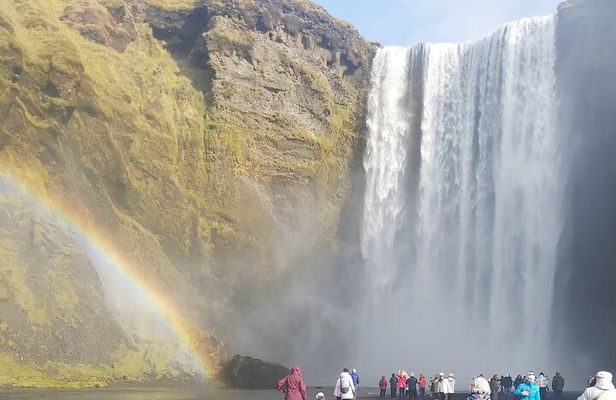 Full Day Private South Coast Tour of Iceland