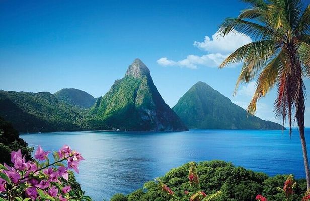 St. Lucia Rainforest Eco-Explorer: Aerial, Zip, and Hike Combo