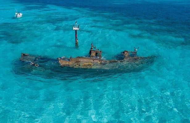 Cancun Snorkeling Adventure: Turtles, Reefs & Underwater Wonders