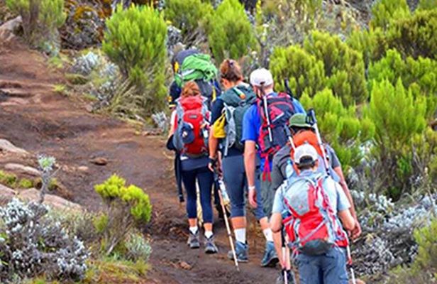 Kilimanjaro day trip starting from Arusha