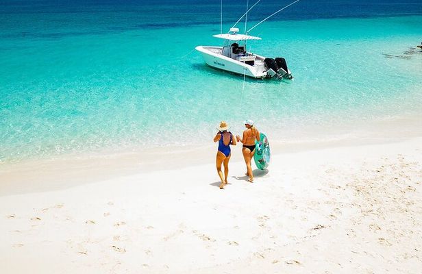 27ft Dream Life Private Charter in Nassau