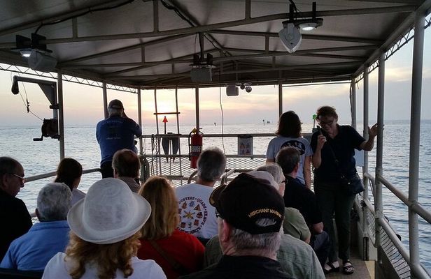  Crystal River Boat Tour 