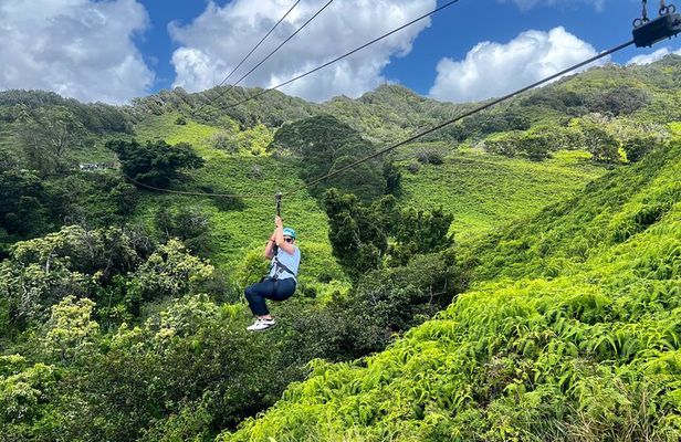 Shaka Zipline: 5 Line Zipline Tour (60 - 260 lbs)