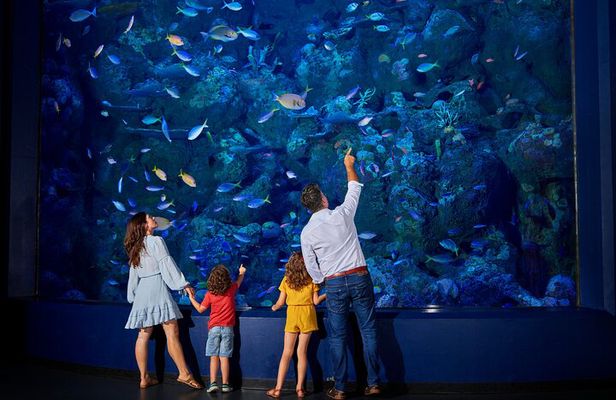 Night at the Aquarium Tour 