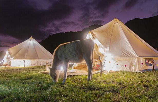 2 Days Andean Glamping with Locals in the Sacred Valley of Pisac