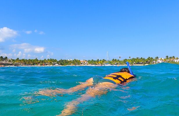Private Tulum Akumal Cenotes Experience