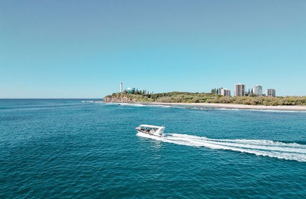Adventure Rafting - Mooloolaba Turtle Tour