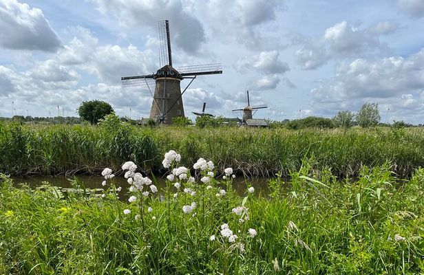 Kinderdijk Windmills, Delft City & Delft Blue Factory Visit