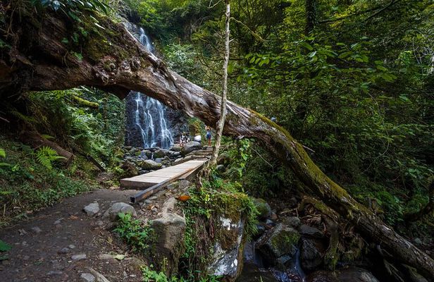 Batumi, Waterfalls & Folklore - A Group Tour from Kutaisi