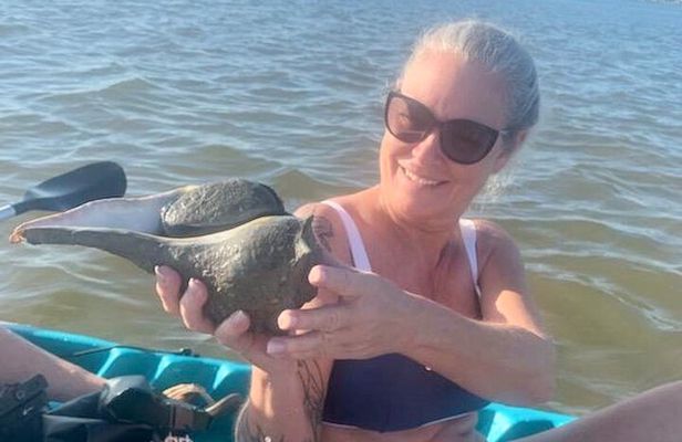 Dolphin and Manatee Kayak Tour of Daytona Beach