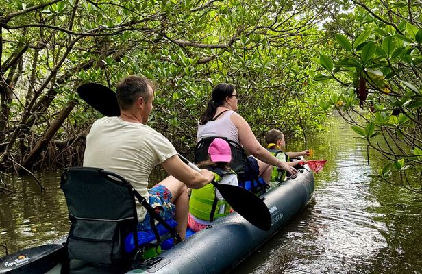 6-Hr Tropical Mangroves, Coastal River and Ocean Wildlife Watch