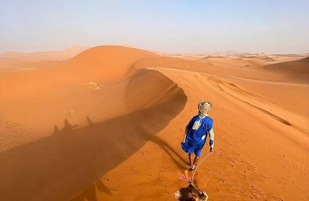 5 Hour Sunset Tour with Camel Ride and Dinner In Desert
