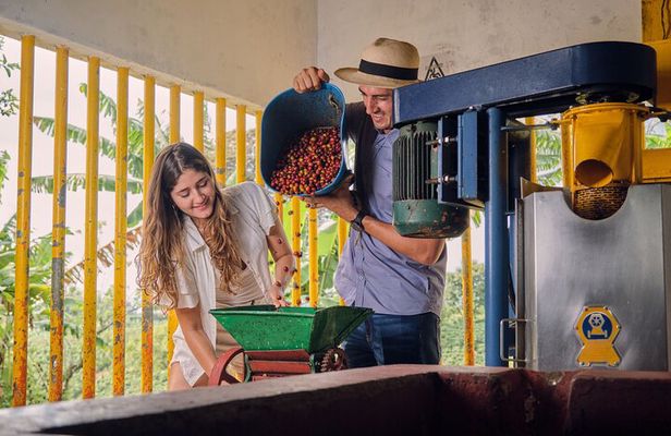 Tour Café de Altura Old House Finca