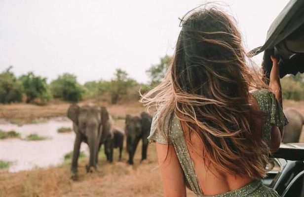 Kandy to Anuradhapura Shuttle & Safari Drive