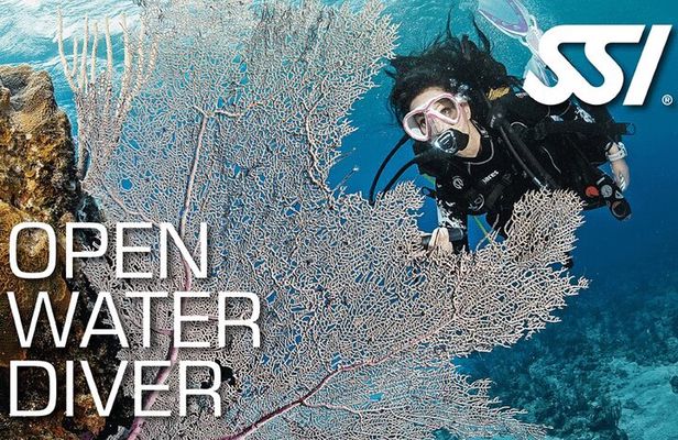 Open Water Course in Koh Samui