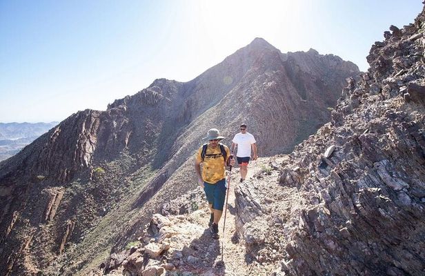 Dubai: 4-Hour Adventure Trip in Hatta