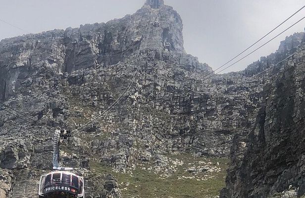 Small Group Table Mountain Penguin Colony and Cape Point Tour