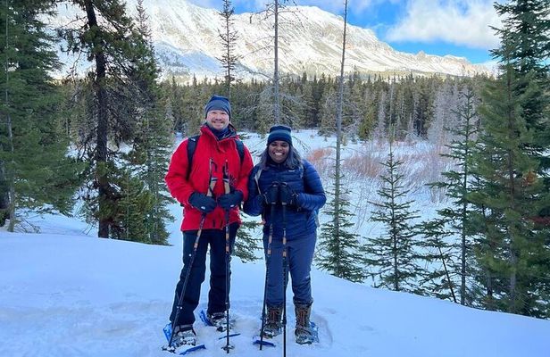 Combo Tour: Driving and Snowshoe Trek of Glacier National Park