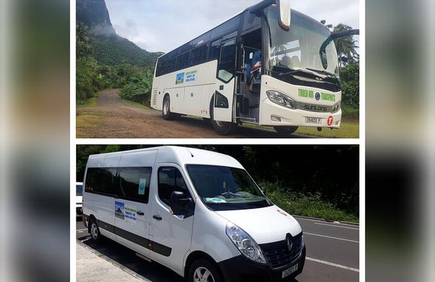 Moorea Island Tour