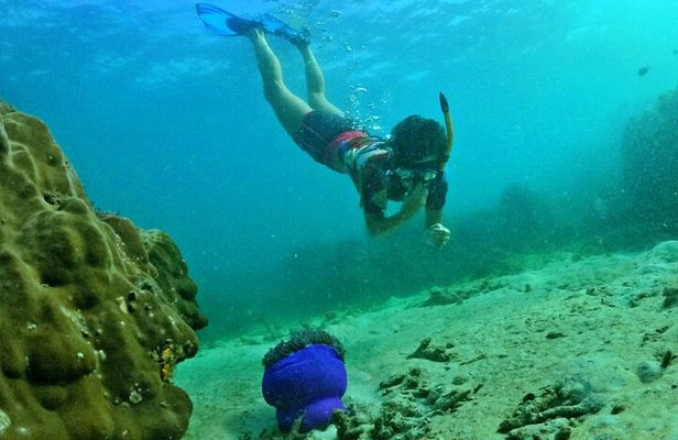 Phu Quoc: Discovery Snorkeling Tour with Island BBQ (Max 12 pax)