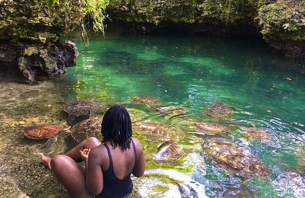 Full day Private Hidden Beach Escape
