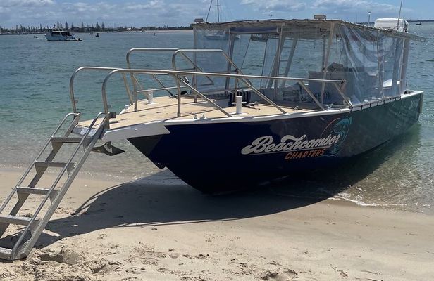 Surfers Paradise to Wavebreak Island Pelican Cruise + Picnic